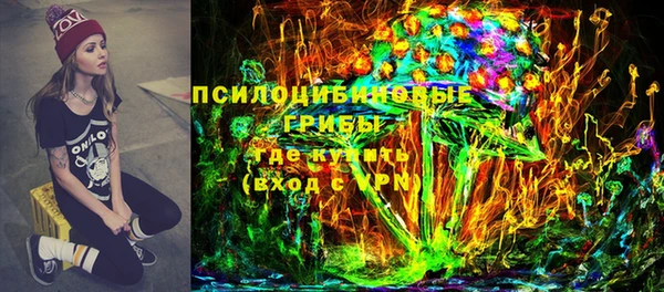 бошки Алексин