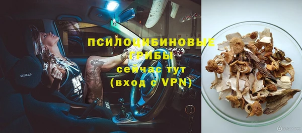 spice Алзамай