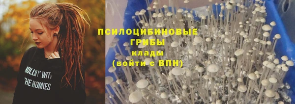бошки Алексин