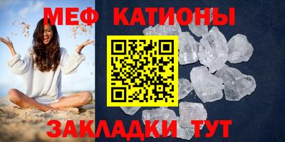 гашик Кингисепп