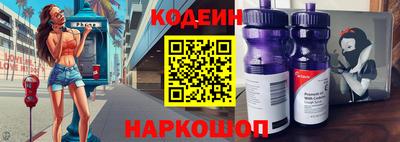 гашик Кингисепп