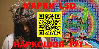 гашик Кингисепп