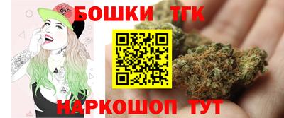 гашик Кингисепп