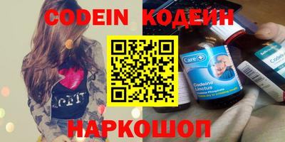 гашик Кингисепп