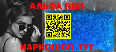 гашик Кингисепп