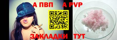 гашик Кингисепп