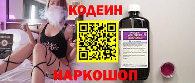гашик Кингисепп