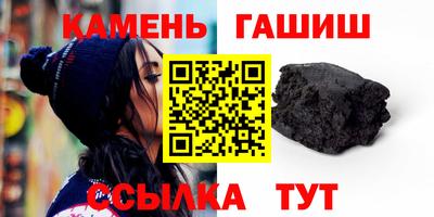 гашик Кингисепп