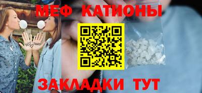 гашик Кингисепп