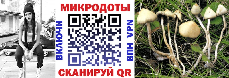 это наркотические препараты  Тайшет  Псилоцибиновые грибы Cubensis  hydra как войти 