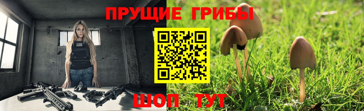 Псилоцибиновые грибы мухоморы Тайшет